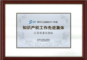 江蘇省著名省標(biāo)-知識(shí)產(chǎn)權(quán)先進(jìn)集體