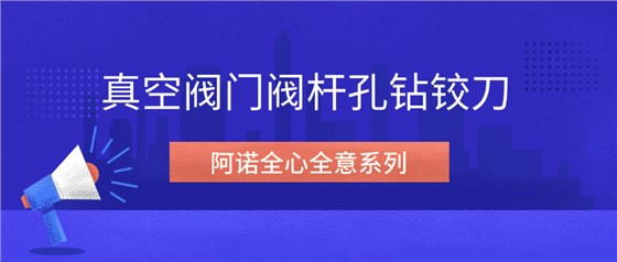 阿諾全心全意系列--真空閥門(mén)閥桿孔鉆鉸刀