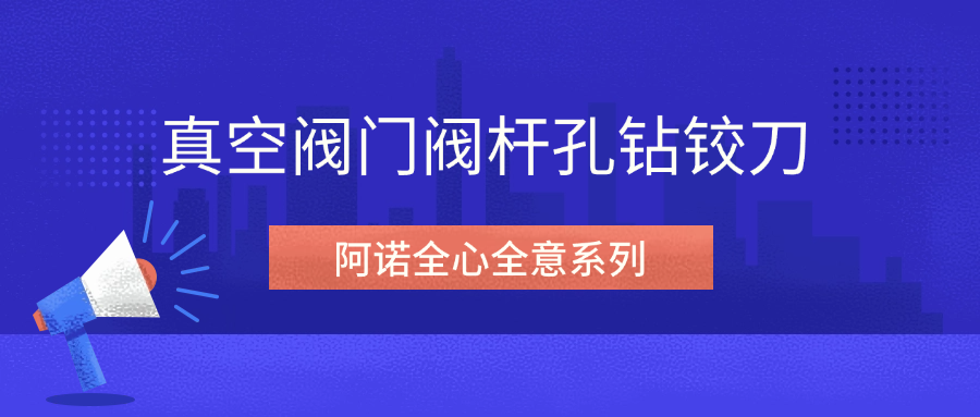 阿諾全心全意系列--真空閥門(mén)閥桿孔鉆鉸刀